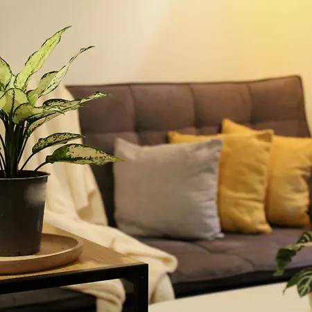 Colorful Apartment *